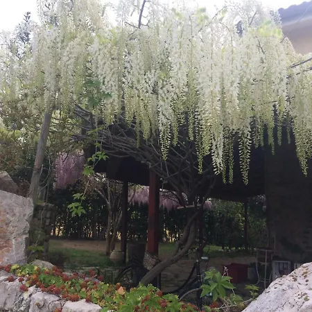 Del Marchese Country house